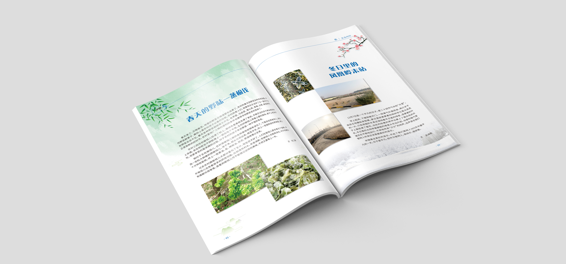 畫冊設計制作 畫冊設計制作