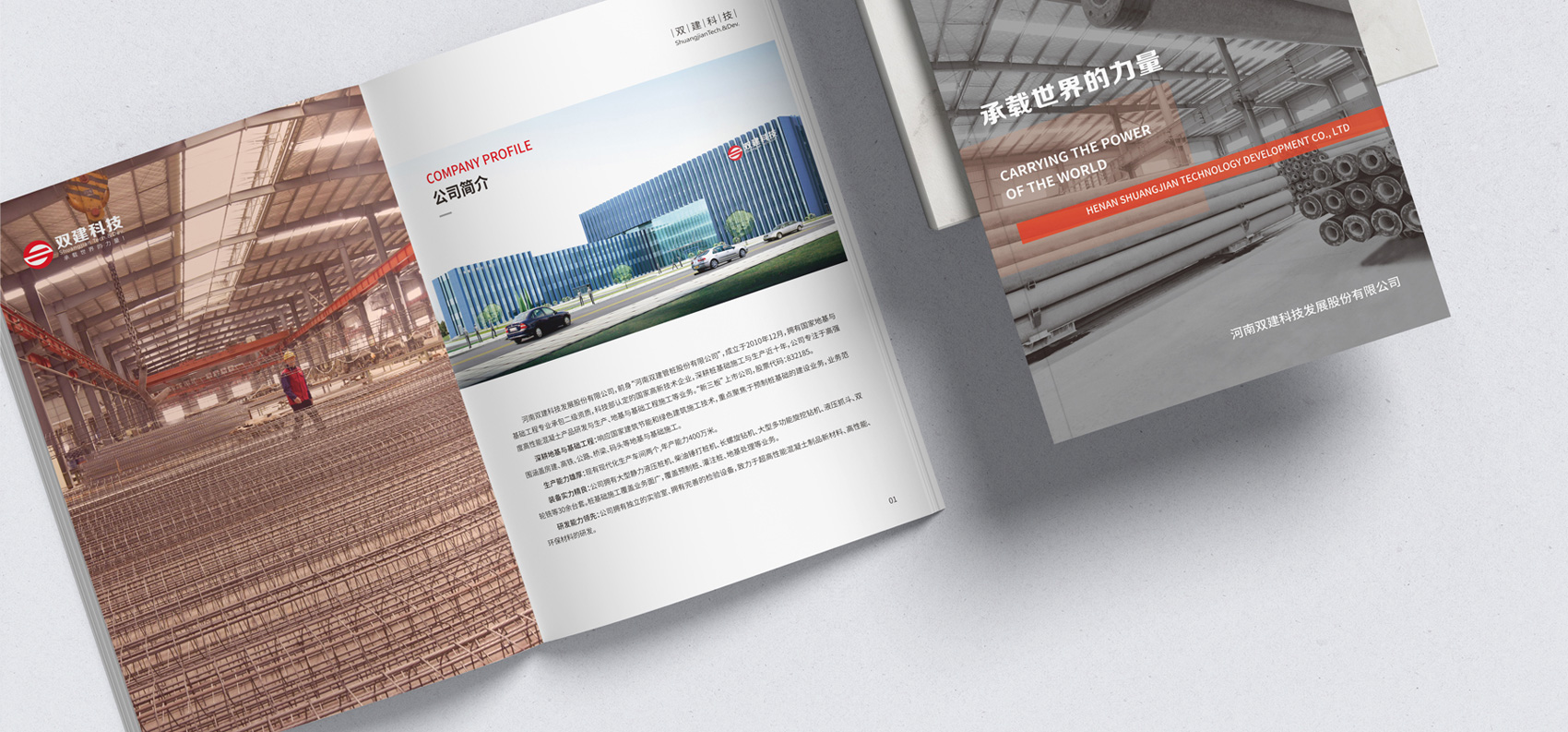 集團畫冊設計印制專業公司